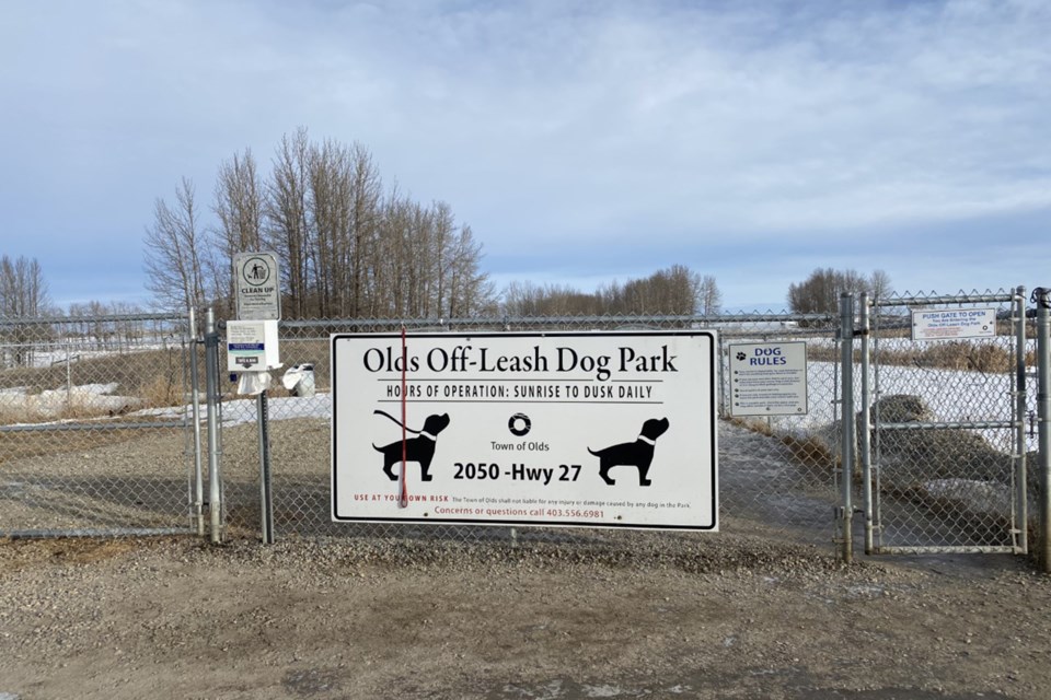 MVT Olds off-leash dog park