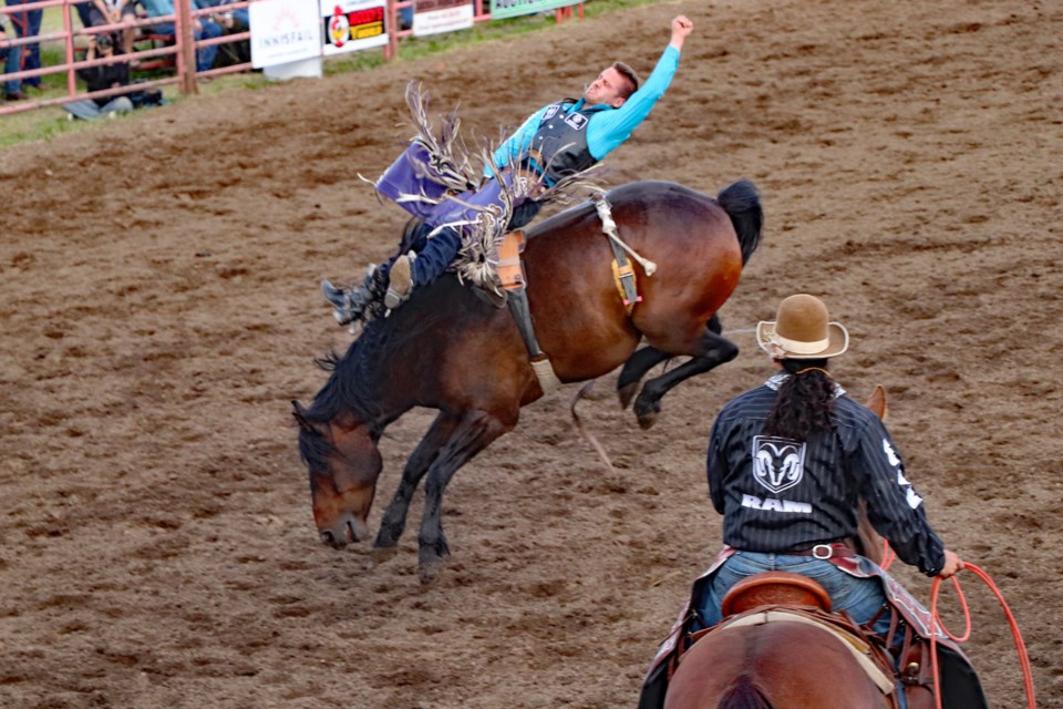 A cowboy has a wild ride during opening night competition at the 62nd annual Daines Ranch Pro Rodeo on June 16. Johnnie Bachusky/MVP Staff