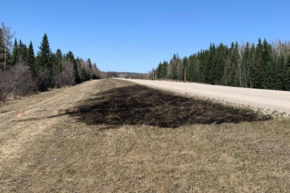 RWF028 was reported and extinguished on May 2 at a size of 0.20 hectares.