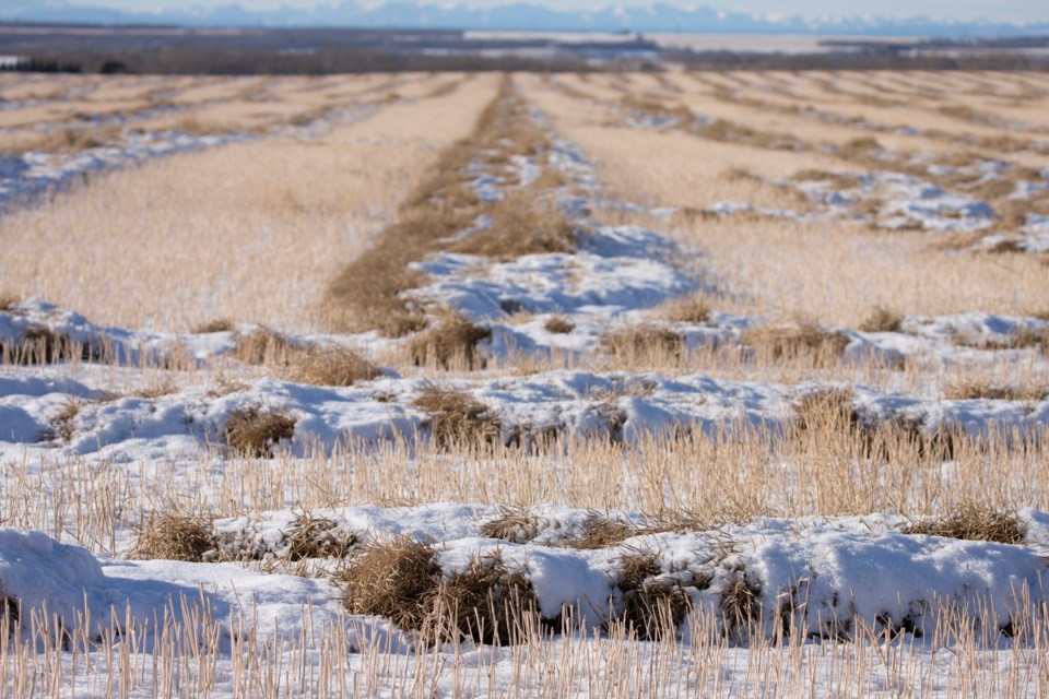 MVT snow on crops