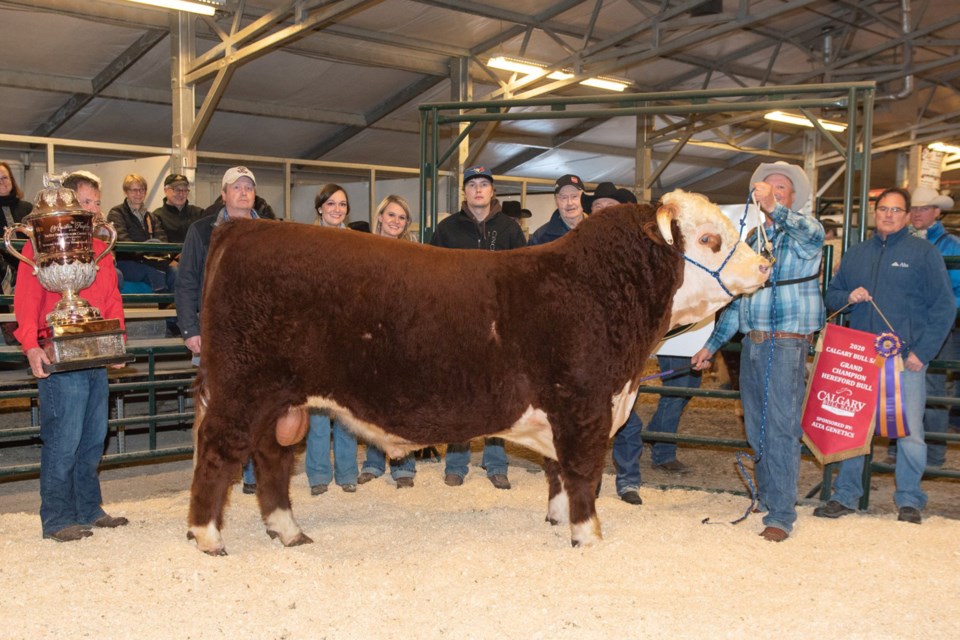 MVT SNS Herefords