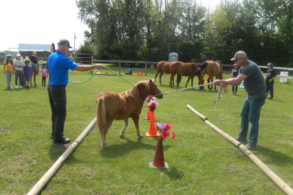 MVT STANDALONE Focus, Body and Mind Equine