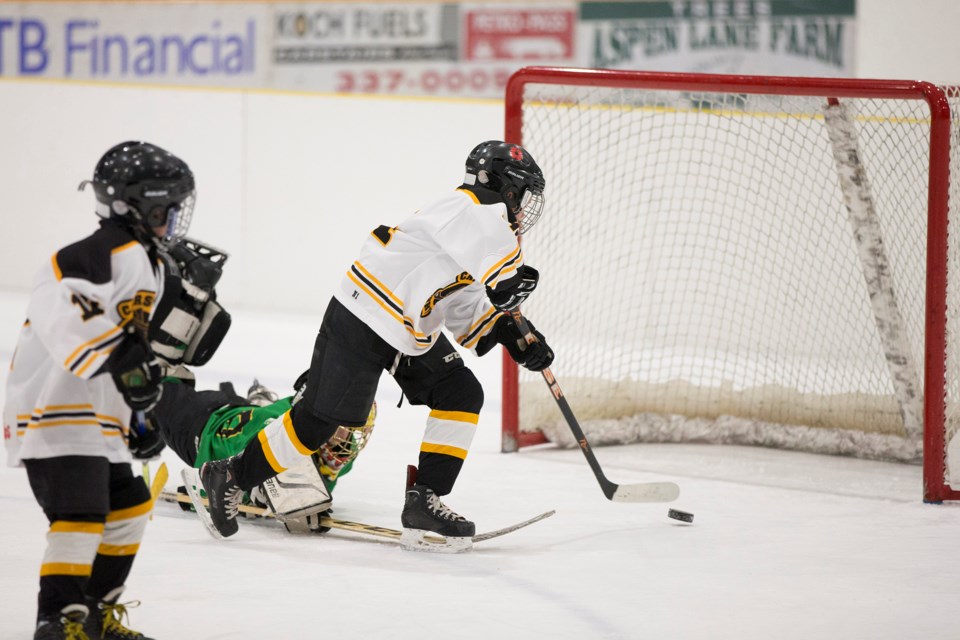 MVT stock Carstairs Minor Hockey