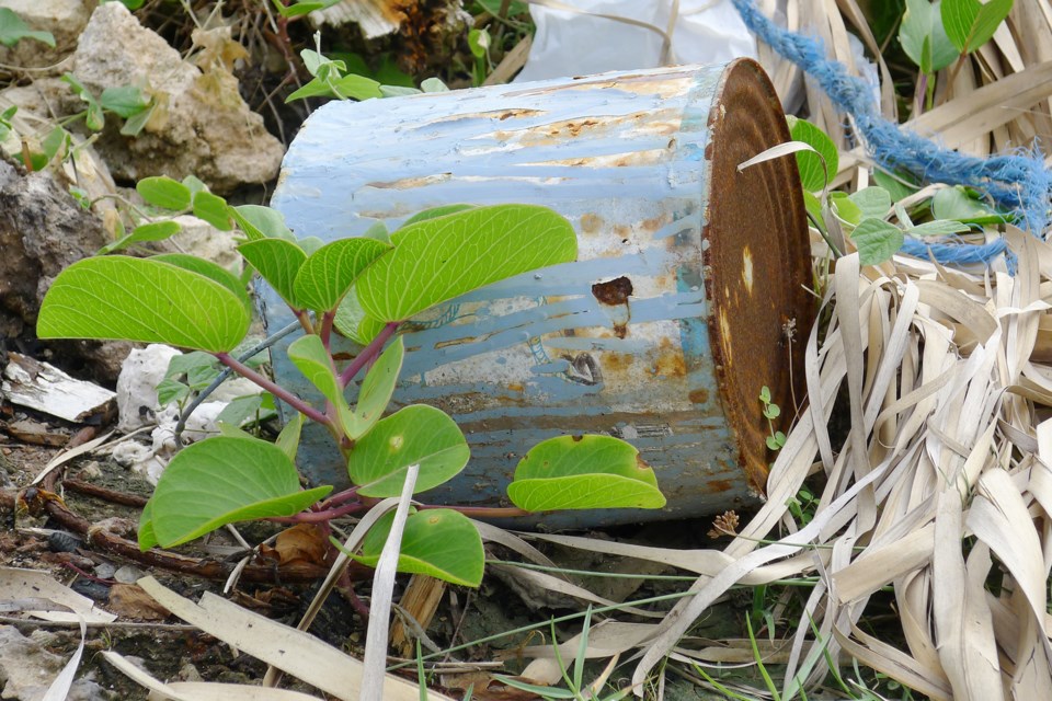 MVT stock garbage in grass