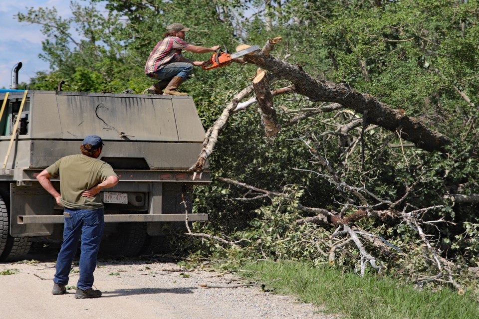mvt-tornado-chainsawing-tree-1