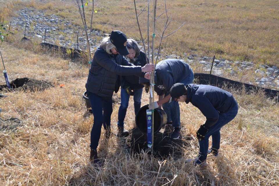 From left, Rotarians Mary Turner and Debby Crawford help Deer Meadow School Grade 8 students Nate Reist and Ryder Karmazinuk plant a tree.