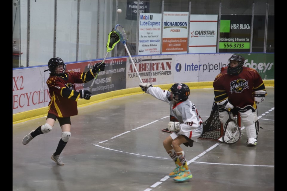 Avery Merrells (#6 in red jersey) and Talan KoKsal (#30 in white jersey) joust for the ball while  goalie Emmitt Lyle looks on during the U13 lacrosse playoffs in Olds.
Doug Collie/MVP Staff