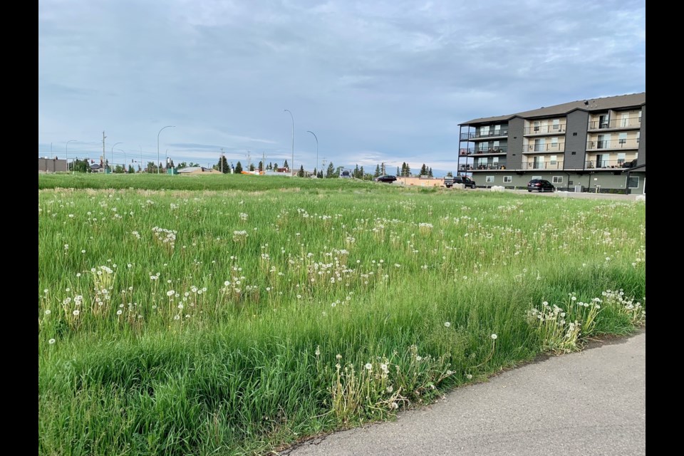A look at Chinook Estates, filled with weeds, looking northwest.