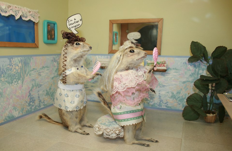 mvt-world-famous-gopher-hole-museum