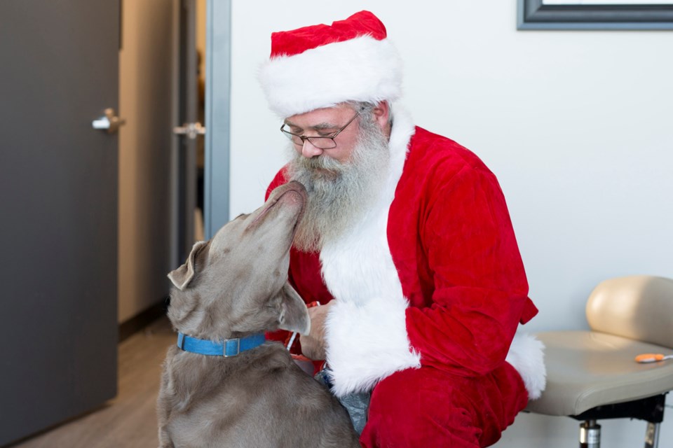 pet photos with santa-3