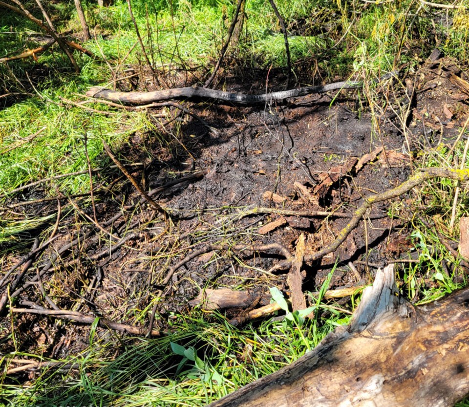 raspberry-park-innisfail-bush-fire-2025