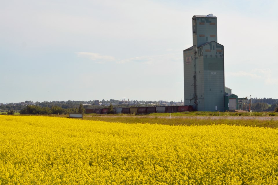 Red Deer County File WEB