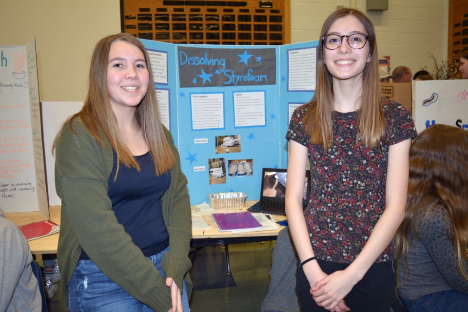 Science Fair WEB