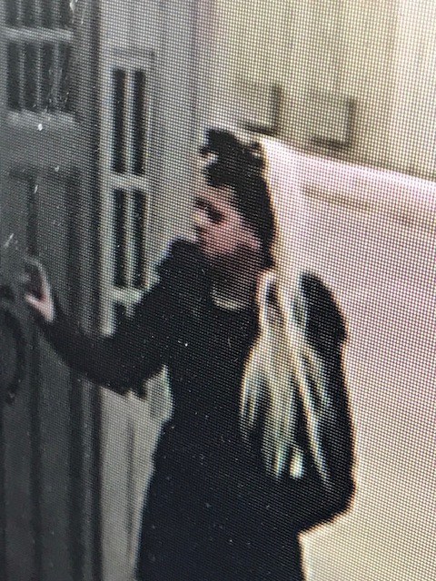 The Sundre RCMP is asking the public for help identifying a couple of suspects who on Wednesday, Oct. 20 were captured on video breaking and entering into a garden shed in the area of 2nd Street SW. 
Courtesy of Sundre RCMP