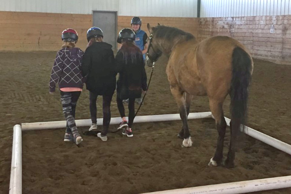 Although River Valley School students do not ride the horses, they work and communicate together as a team as they lead the animal through an obstacle course at Eagle Hill Equine's arena.
Submitted photo