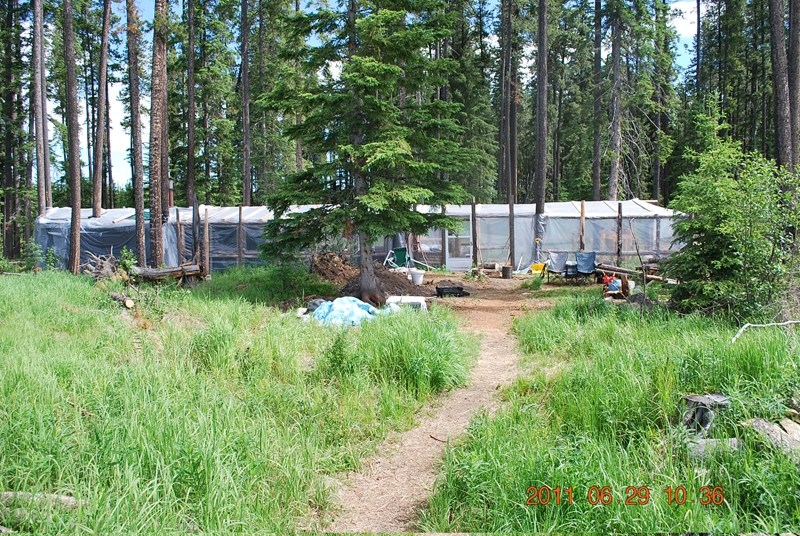 A grow operation busted north of Sundre