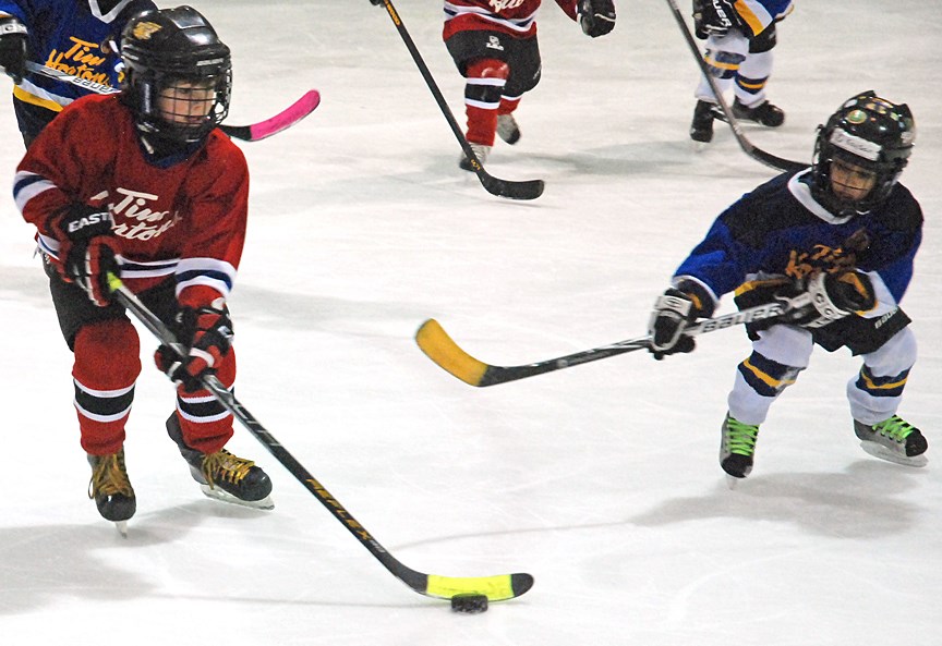 DYNAMITE HUSKIES HOST ANNUAL TOURNAMENT ó Sundre Timbits Dynamite Husky Dysen Doolaege skates the puck up the ice during the team&#8217;s annual tournament held on Saturday