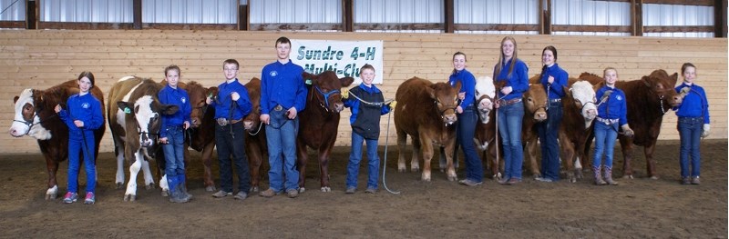 The Sundre 4-H Multi Club has had a busy year. Members of the club&#8217;s beef group, pictured here, are preparing for the upcoming annual show and sale.,