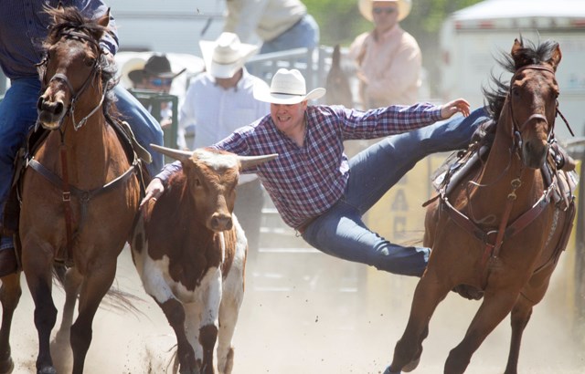 WATER VALLEY RODEO ACTION — Carter McIntyre of Sundre leaps onto his steer during the steer wrestling event of the 63rd annual Water Valley Rodeo west of Water Valley on June 