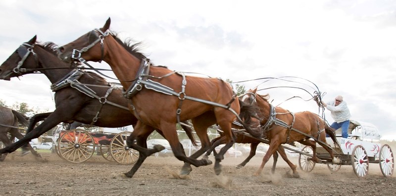Drivers approach the finish line during the seventh heat of the chuckwagon races at last year&#8217;s Bulls and Wagons. This year&#8217;s event takes place Friday, Aug. 5 to