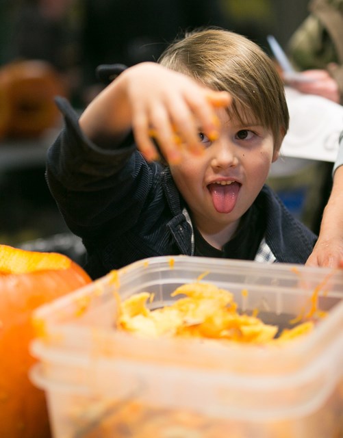 Milez Brackley reacts while scooping seeds out of a pumpkin during the Sundre Fire Department&#8217;s annual carving event on Oct. 26.,