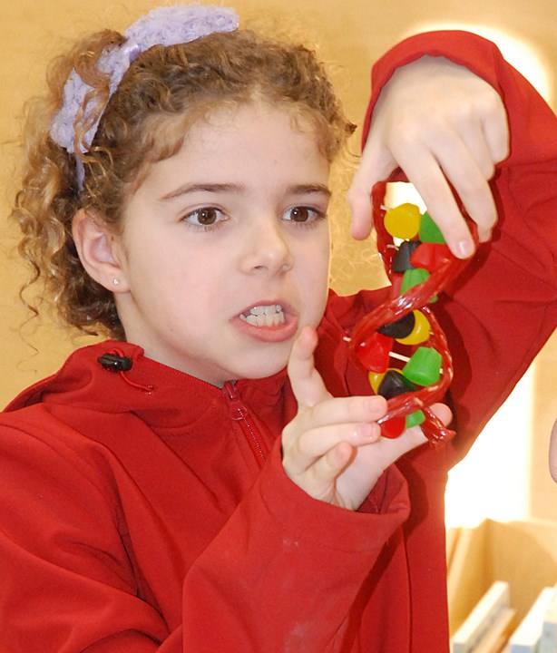 Anna Steiner, 9, who lives south of Sundre, was among about a dozen youths who participated in an educational activity last month that introduced children to DNA by making a