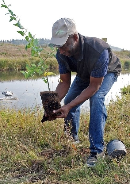 Ian James, Sundre&#8217;s community services manager, was among more than a dozen people, including town staff and volunteers, who recently helped plant 1,900 trees and