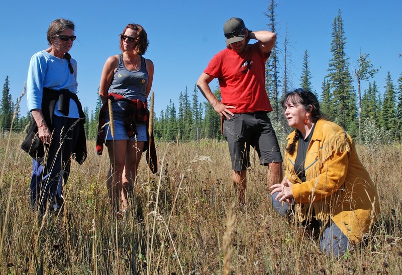 Where most of us see pesky weeds, Brenda Holder, right, who owns and operates Mahikan Trails — an aboriginal company that offers people an opportunity to explore native