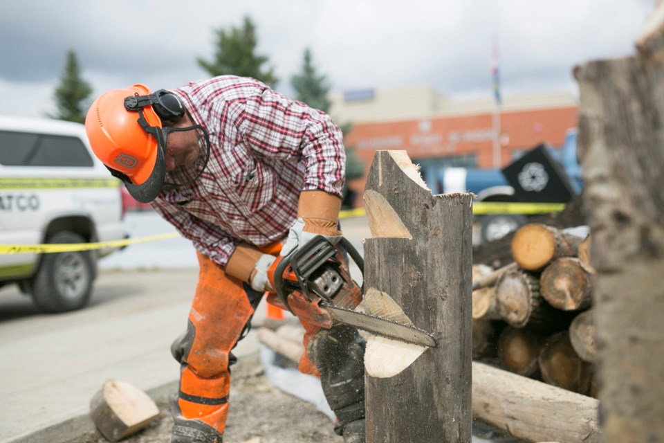 Alfred Schmutz demonstrates tree cutting techniques at a farm safety event called Safety by Choice, Not by Chance, which was hosted by the Sundre and District Agricultural