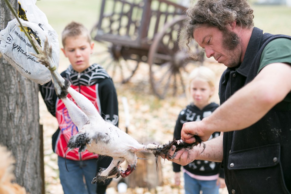 James Albert Dixon Edwards plucks a chicken as a couple of curious onlookers, Cole and Aven Marr, learn how the animals are prepared during a Thanksgiving event held at the