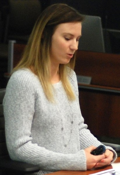 Alyssa Campkin, chair of the Downtown Area Revitalization Committee, presented council during its Nov. 23 meeting with a detailed report outlining the committee&#8217;s past