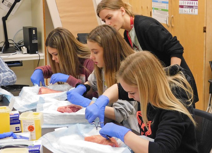  From left: Sundre High School Grade 10 students Saige Harper, MacKenna Melcher and Kyonna Sawyer are introduced to the delicate practice of suturing on Monday, May 6 at the Sundre Hospital and Care Centre during the third annual nurse skills event held in conjunction with the start of National Nursing Week.