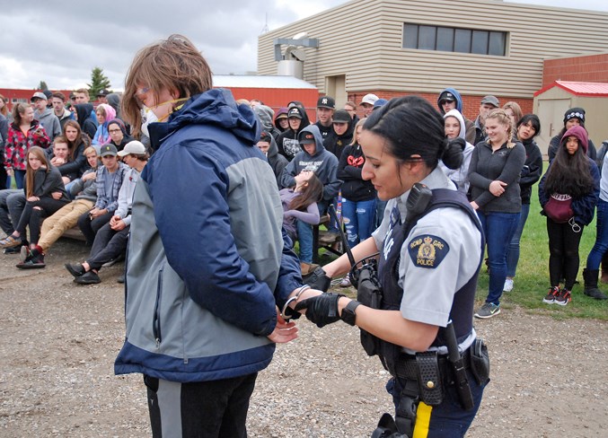  Const. Geneviève Munger-Angers of the Sundre RCMP detachment cuffs Sundre High School Drama Club student Gavin Beck and takes him into “custody” after “arresting” him for impaired driving.