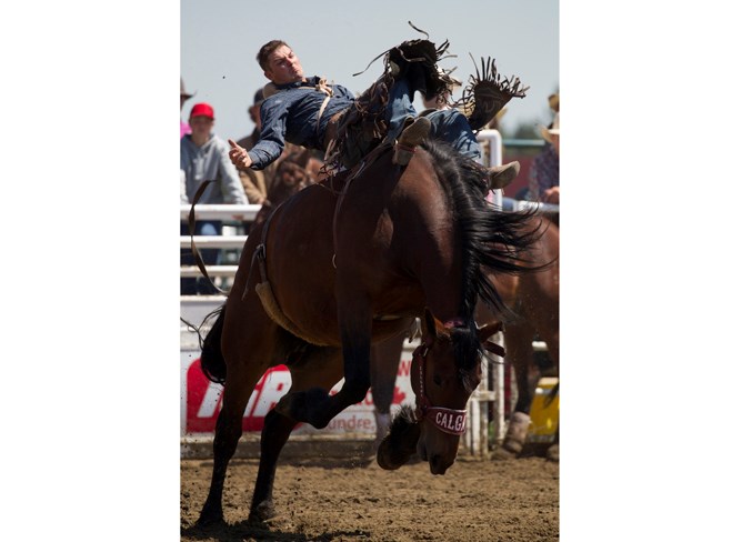  Travis Heeb competes in bareback at the rodeo.