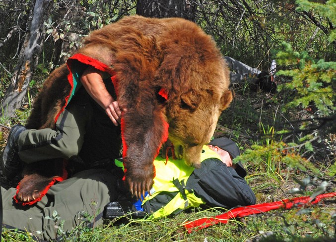  Fish and Wildlife officer Aaron Szott got “attacked” by a “grizzly bear” while guarding the victim of a cougar attack, prompting his teammates that were in pursuit of another cougar to immediately rush back to his aid.
