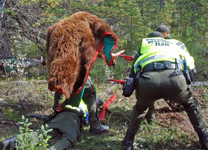  Fish and Wildlife officers are trained to bring their firearms as low as possible and to point their barrels upwards when neutralizing a predator that is on top of a person.