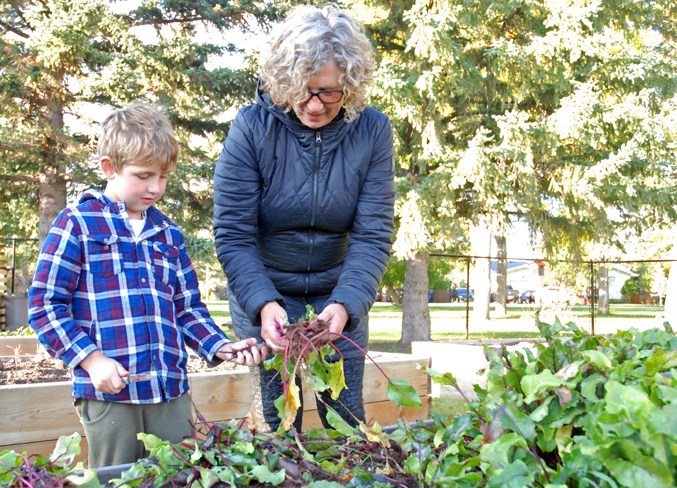 community garden windup 1