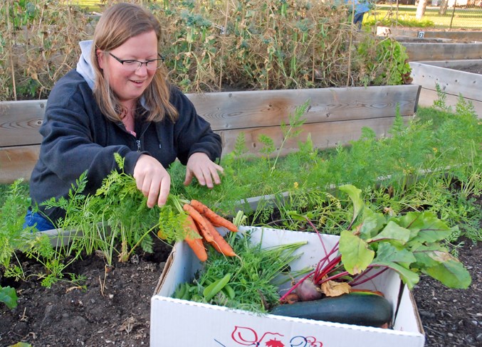  Sundre resident Janis Simmons pulled some carrots, as well as some beets, peas and a couple of zucchinis during the community garden season windup event.
