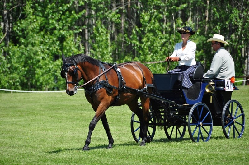 A participant drives through the course at the Stone Bridge Carriage Driving Club Wild Rose Classic held at the Eagle Ridge Ranch in Kevisville on July 2-3.