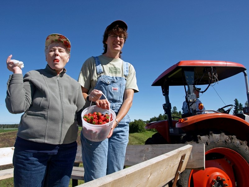 Kathleen Perry of Calgary (left) enjoys a strawberry she picked at The Jungle Farm on July 16. The farm was hosting its first Garden Tour. Owner Leona Staples (right) said