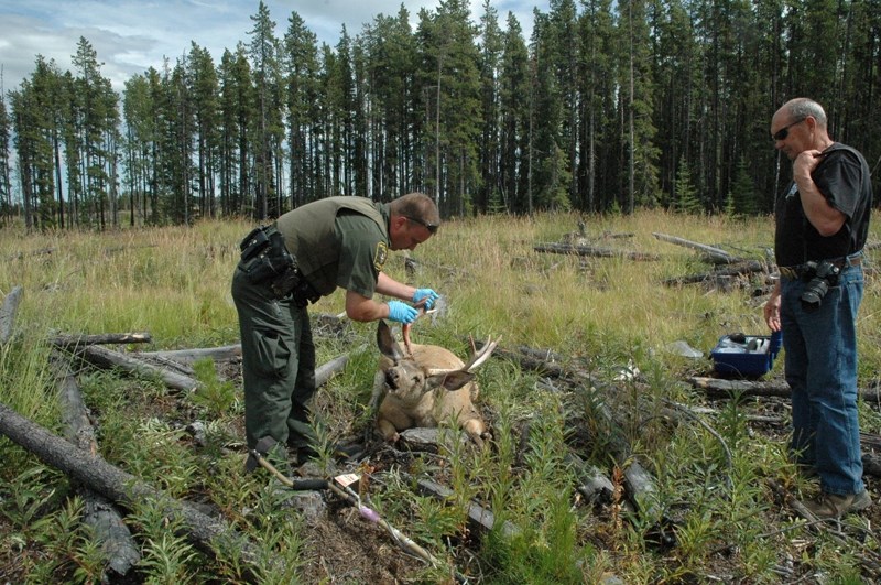 Fish and Wildlife officer Adam Mirus and Bob Henderson