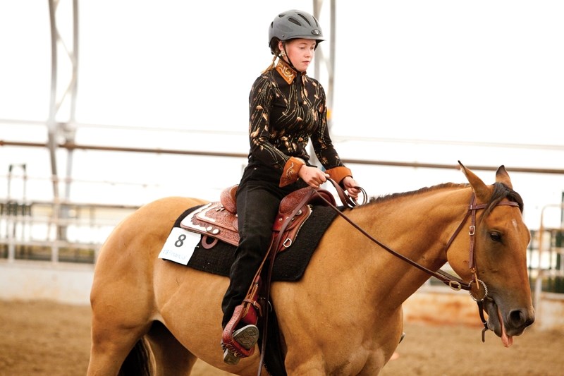 The policy applies to 4-H-ers in Horsemanship Levels I