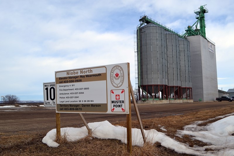 The new massive grain terminal at Niobe that was approved by Red Deer County last week will be built across the rail track to the west of the existing north elevator.