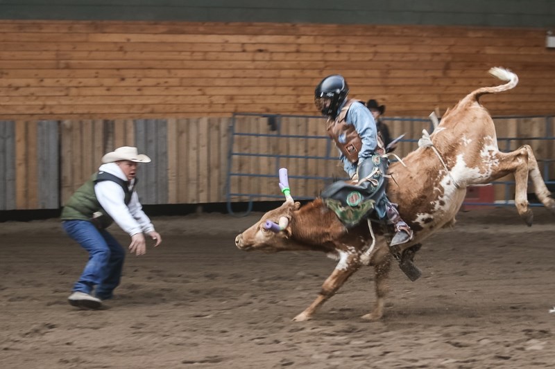 Dusty Golden scores a 75 in steer riding at the March 19 Junior Rodeo event east of Sundre. Photographer Shannon Fox said the little steer was &#8220;full of buck and