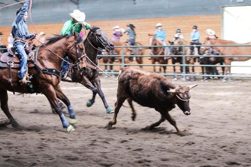 Denton Argent and Joel Evans catch a steer during the April 16 rodeo.