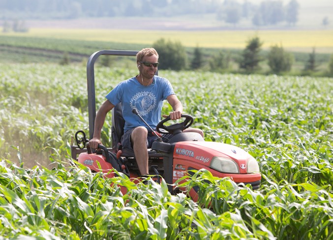 John Mills tills a path in the corn maze at the Bowden Sun Maze on July 20.
