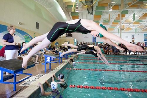 Competitors jump into the pool at the start of a girls 11-12 100-metre race during the Innisfail Dolphins Invitational at the Innisfail Aquatic Centre on Saturday June 30.