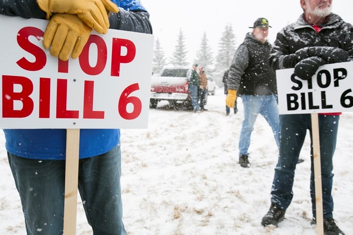 Howard Schafer, left, and Ray Forrester hold signs during a rally across from the Cow Palace in Olds before a recent information session.
