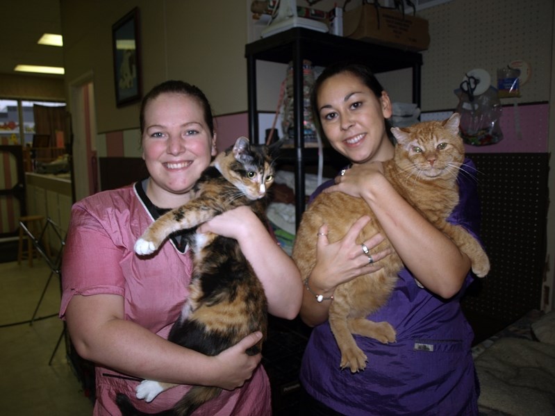Jennifer Chik, owner of All About Dogs, and manager Shalayna Wandler, hold Loretta (left) and Lucas who were once abandoned cats but rescued and healthy and living happily at 