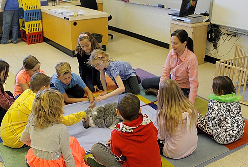 Ley-Anne Mountain of Naturally Nurtured teaches the Ecole John Wilson Grade 4 class about gratitude by using Einstein the bunny.